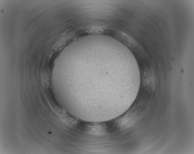 X0000063460370200601201252