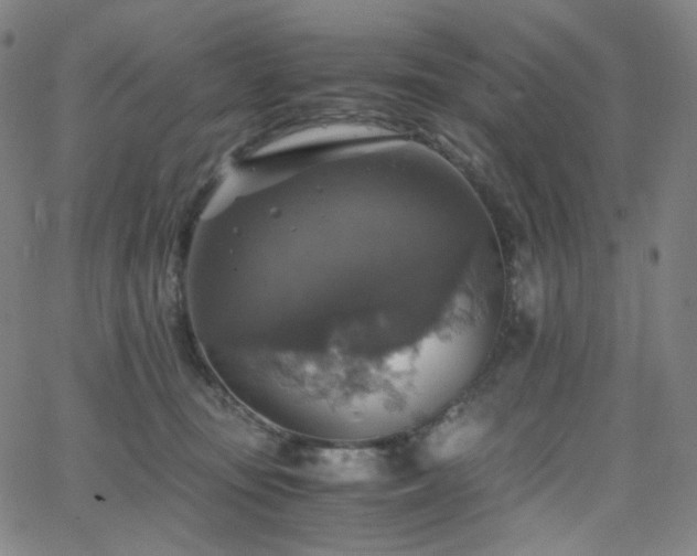 X0000063460371200601201252