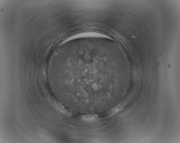 X0000063460373200601201252