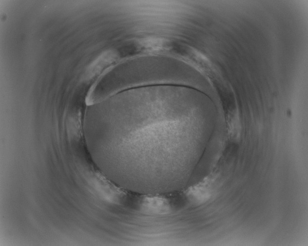 X0000063460376200601201252