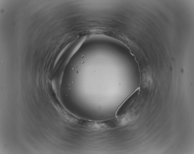 X0000063460379200601201252