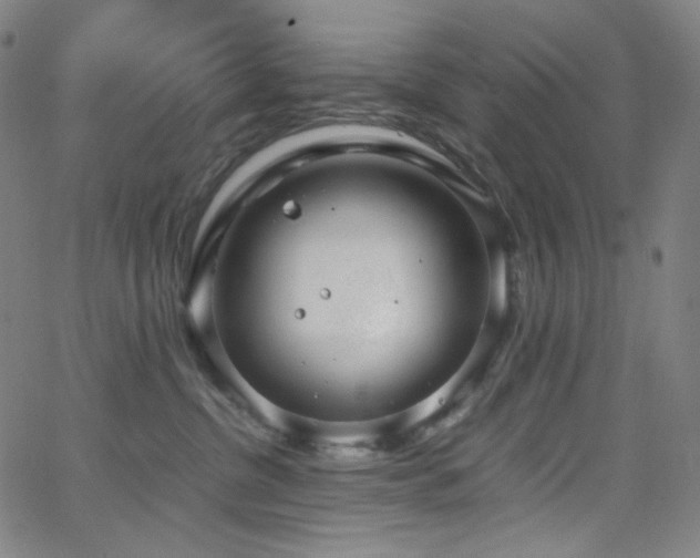 X0000063460380200601201252