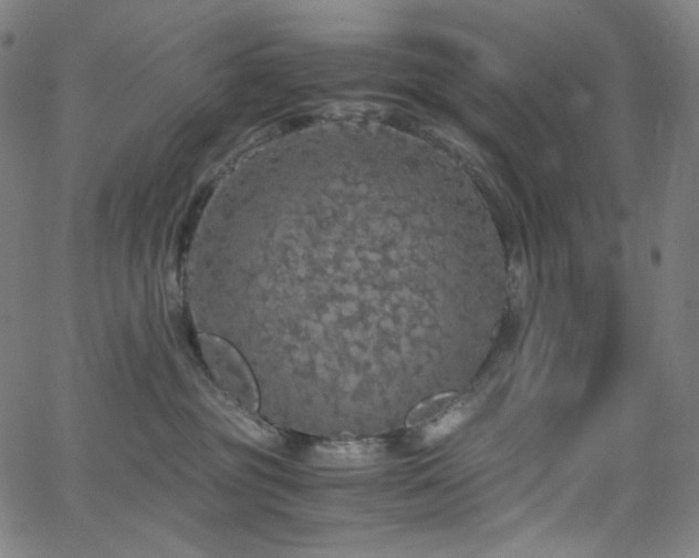 X0000063460381200601201252