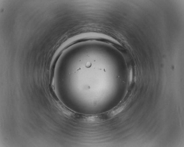 X0000063460382200601201252