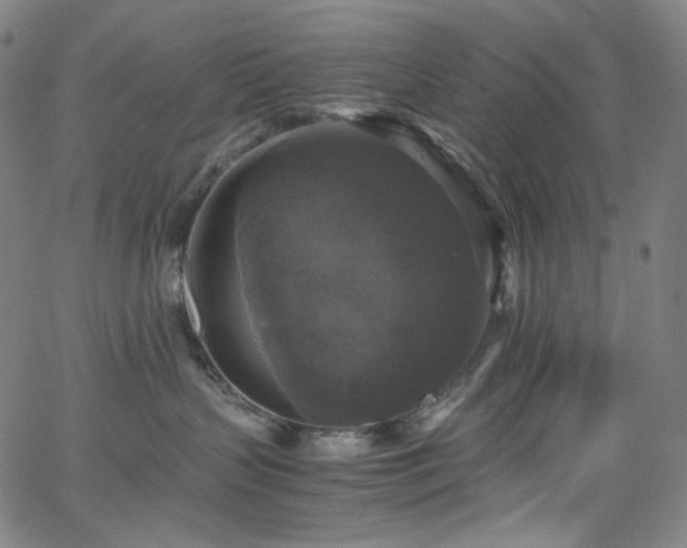 X0000063460383200601201252