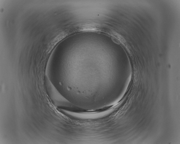 X0000063460385200601201251