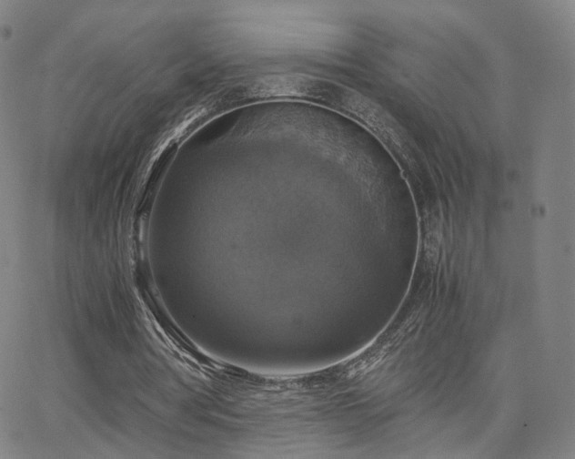 X0000063460386200601201251