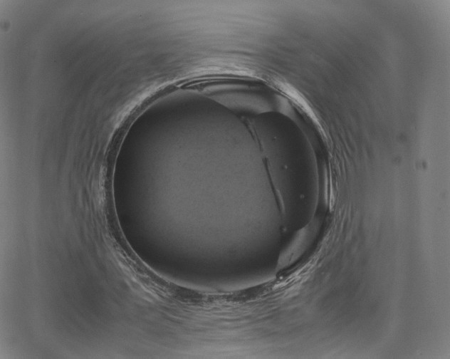 X0000063460387200601201251