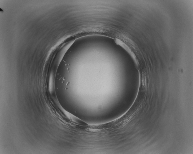 X0000063460388200601201251