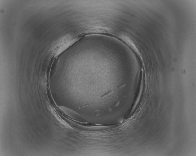 X0000063460389200601201251