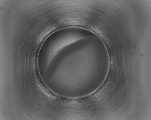 X0000063460390200601201251