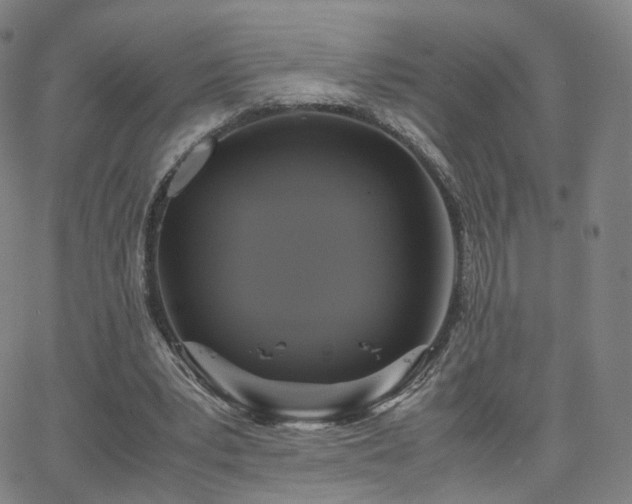 X0000063460391200601201251