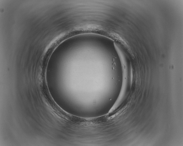 X0000063460392200601201251