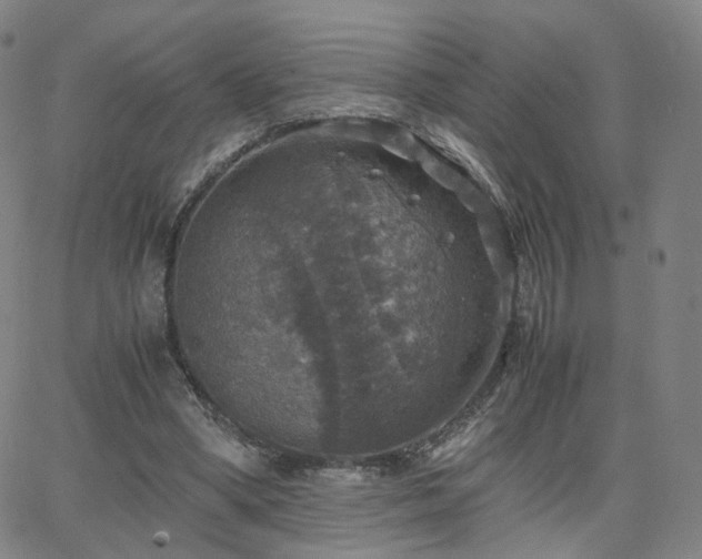 X0000063460394200601201251