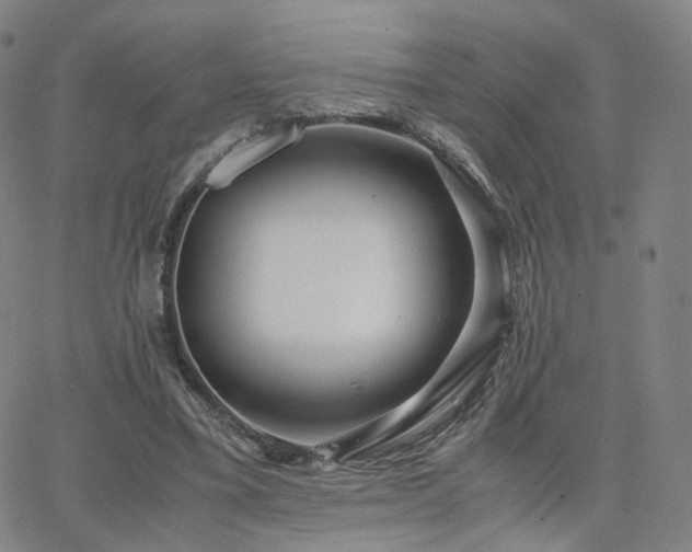 X0000063460395200601201251