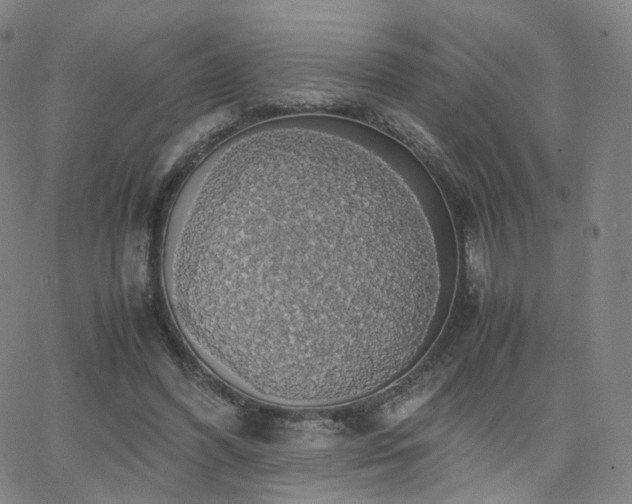 X0000063460396200601201251