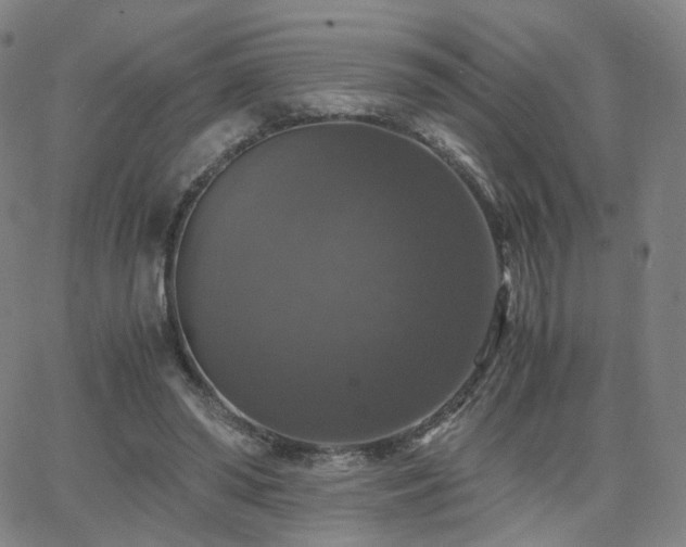 X0000063460398200601201251