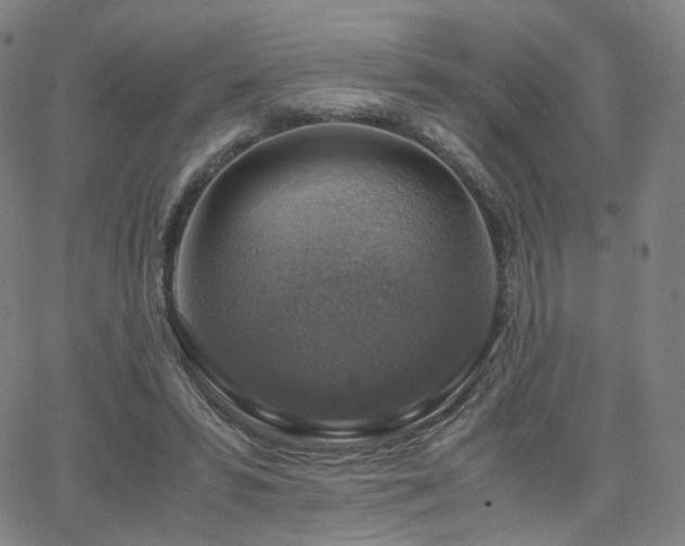 X0000063460399200601201251