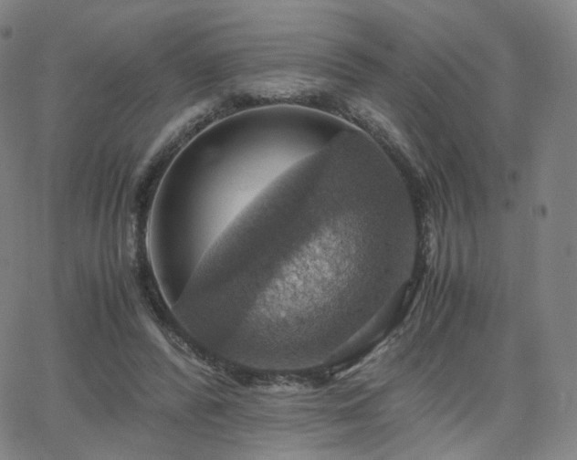 X0000063460400200601201251