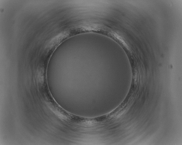 X0000063460402200601201251