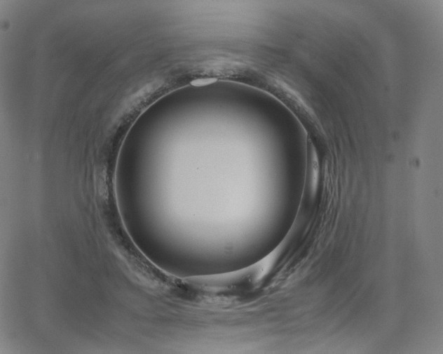 X0000063460403200601201251