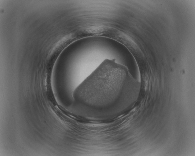 X0000063460404200601201251