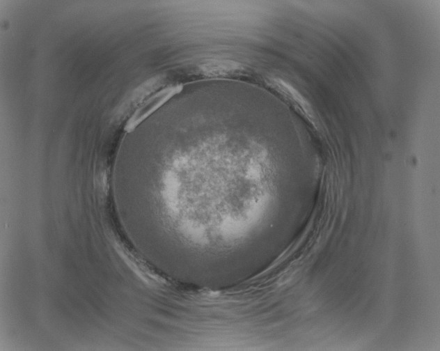 X0000063460405200601201251