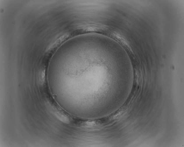 X0000063460406200601201251