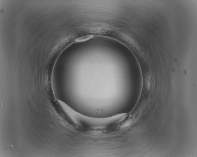 X0000063460407200601201251