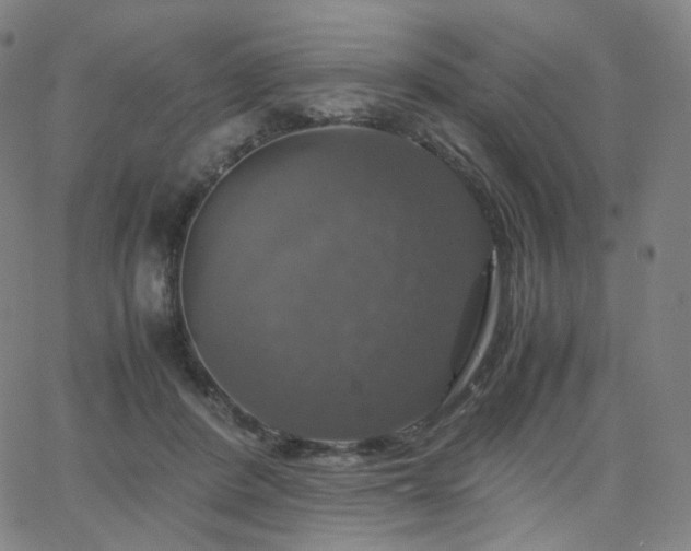 X0000063460408200601201251