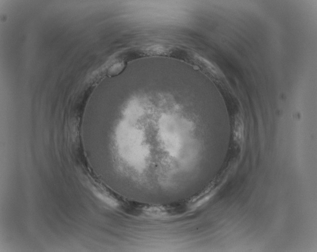 X0000063460409200601201251