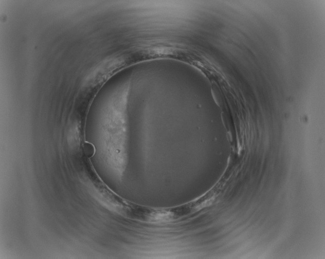 X0000063460410200601201251