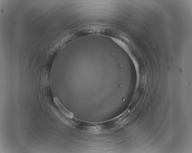 X0000063460411200601201251