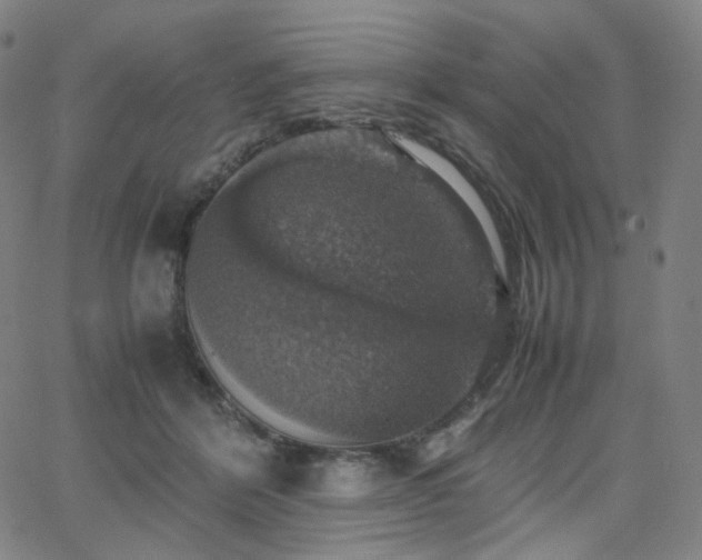 X0000063460412200601201251