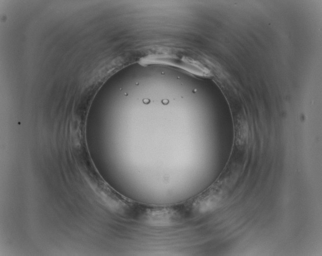 X0000063460414200601201251