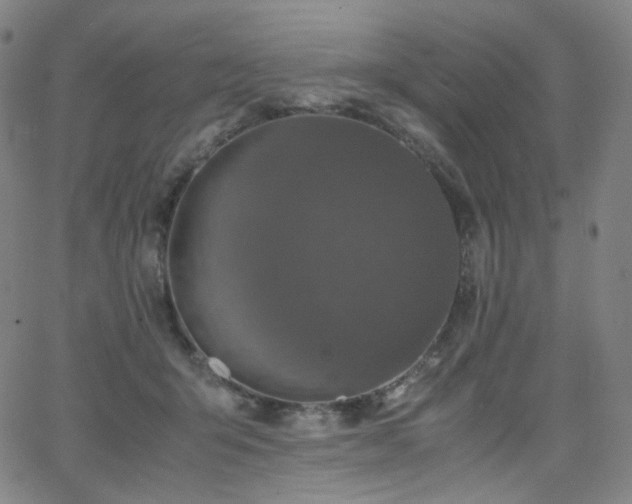 X0000063460415200601201251