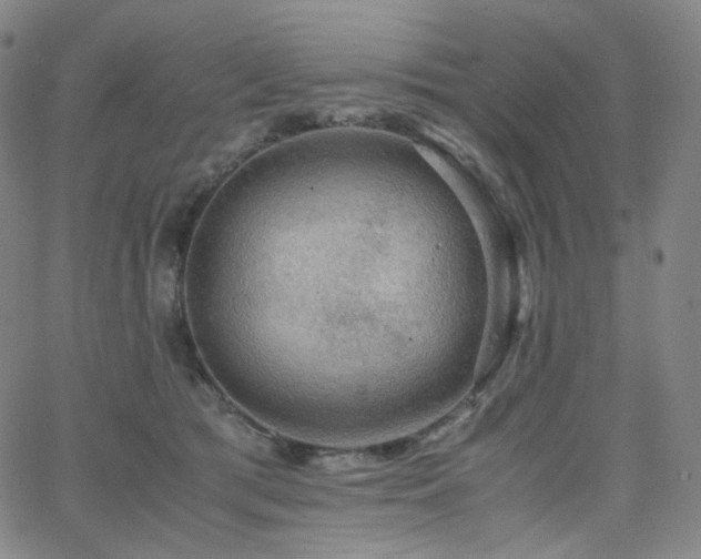 X0000063460417200601201251