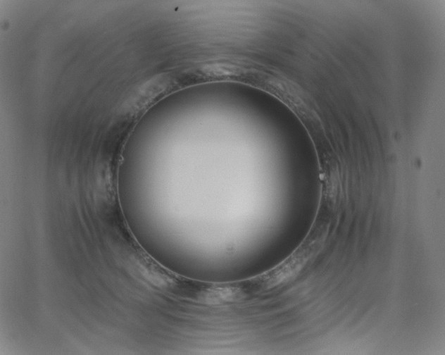 X0000063460418200601201251