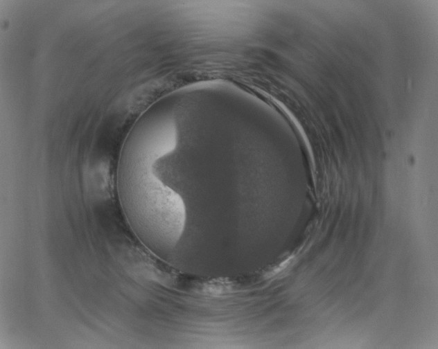 X0000063460420200601201250