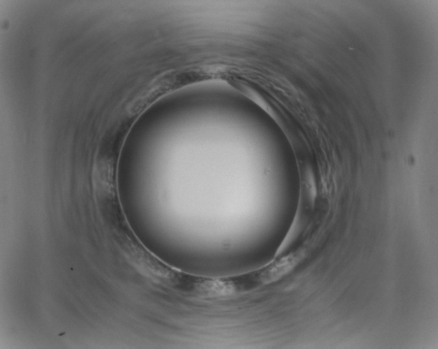 X0000063460421200601201250