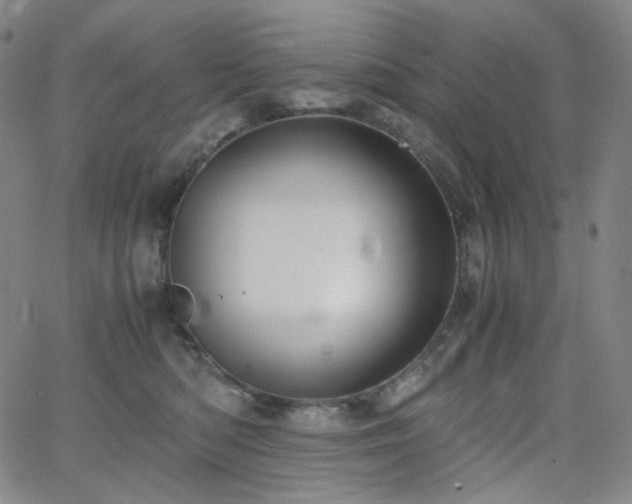 X0000063460422200601201250