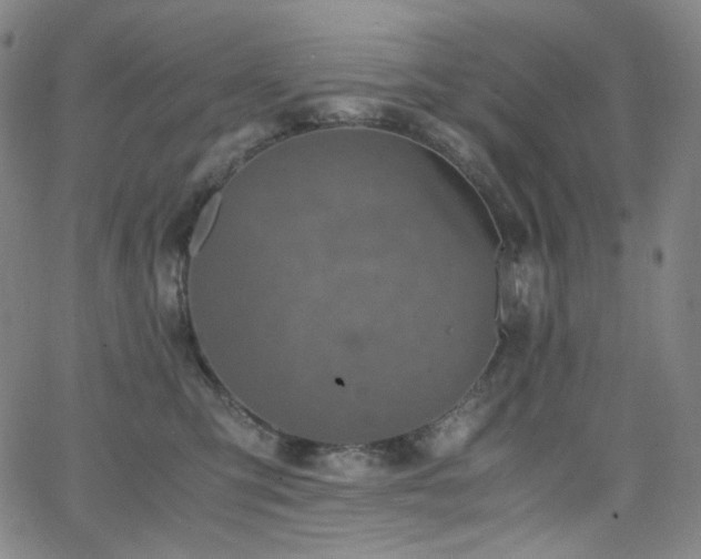 X0000063460423200601201250