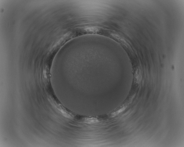 X0000063460424200601201250