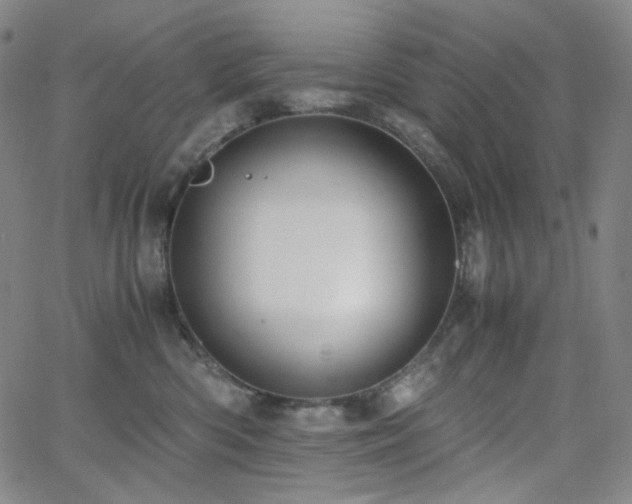 X0000063460426200601201250