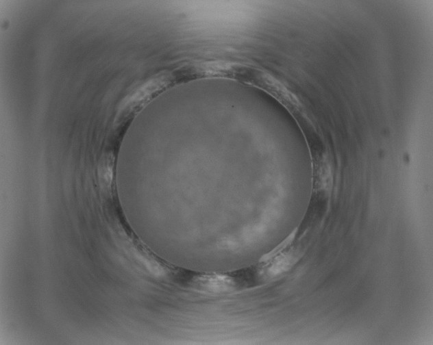 X0000063460427200601201250