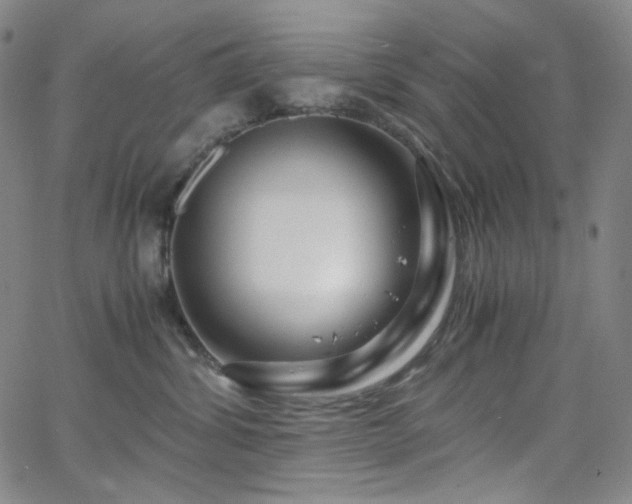 X0000063460428200601201250