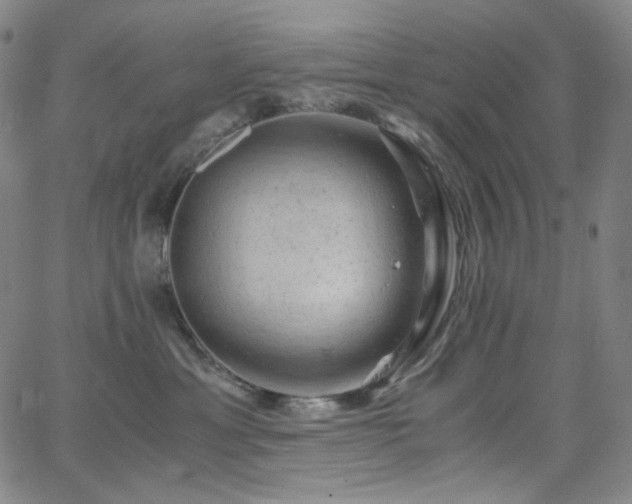 X0000063460429200601201250