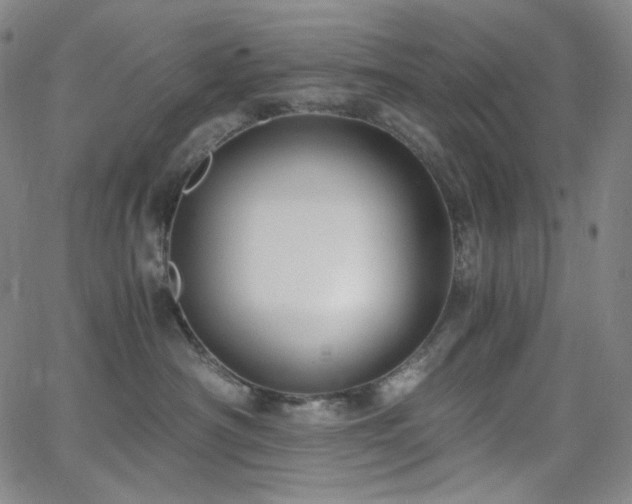 X0000063460430200601201250