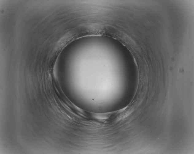 X0000063460432200601201250