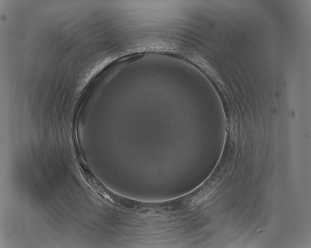 X0000063460434200601201250